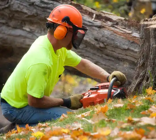 tree services Willow Springs